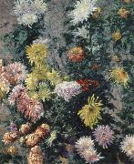 Gustave Caillebotte Chrysanthemums,Garden at Petit Gennevilliers oil painting artist